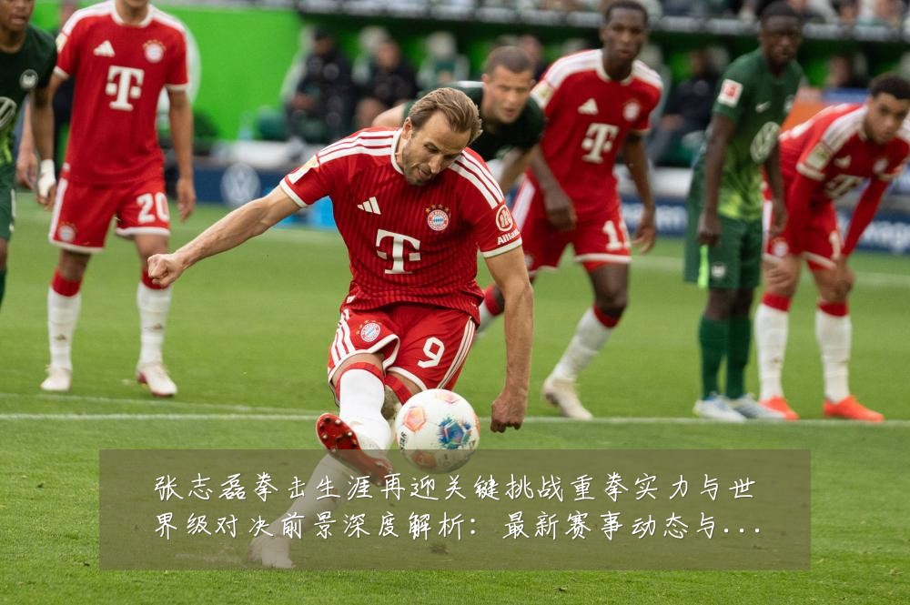 张志磊拳击生涯再迎关键挑战重拳实力与世界级对决前景深度解析:最新赛事动态与深度分析